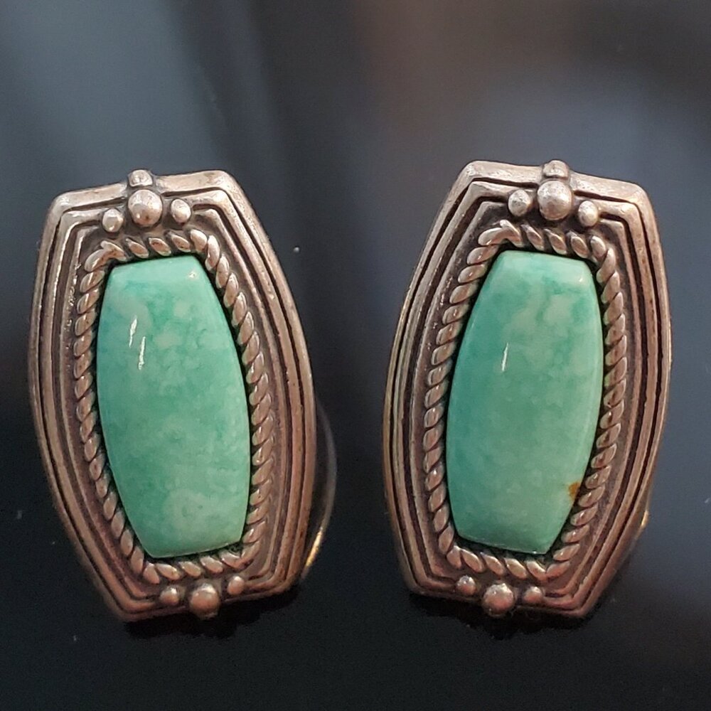 Sterling silver and turquoise earrings